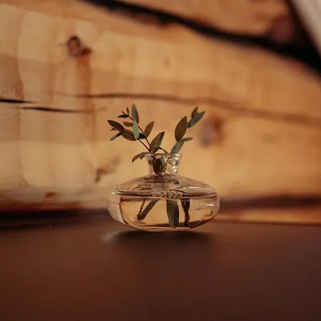 The Terwa 别墅 里希迈基