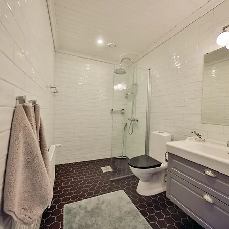 The Terwa 别墅 里希迈基