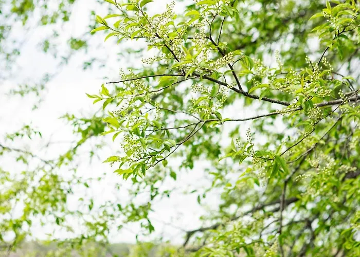 The Terwa * Riihimäki